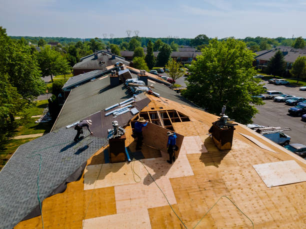 Best Gutter Installation and Roofing  in Grant, MI