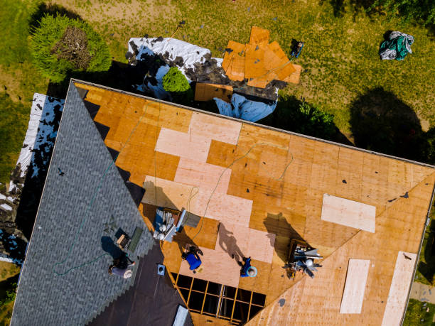 Best Roof Restoration Services  in Grant, MI